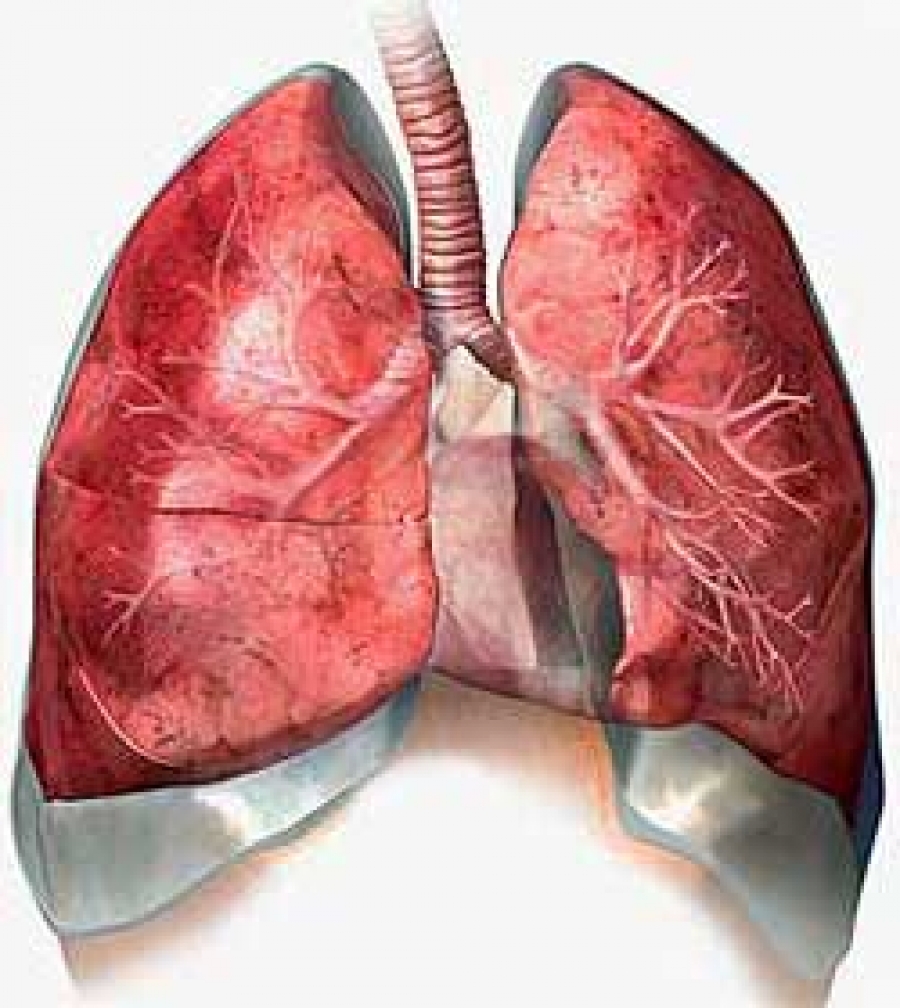 Печень симптомы заболевания дыхательных